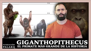 ¿Por Qué Desapareció el Gigantopithecus? El Coloso del Pleistoceno, la Historia de una Extinción