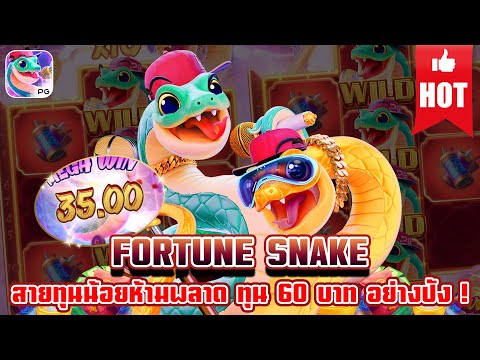 Fortune Snake | สล็อตงู เกมใหม่pg สล็อตเกมใหม่