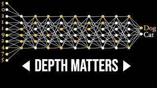 How Neural Networks Learn Concepts