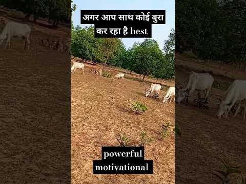 अगर आप साथ कोई बुरा कर रहा है best powerful motivational quotes #motivation #short #thoughts #quotes