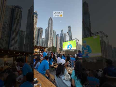 Watching Cricket match in Dubai #cricket #worldcup #shorts