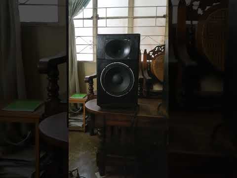 D8  Speaker Design Crown JH860 Sound 1 Channel Test