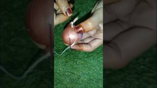 new kitchen tip #usefulkitchenhacks#kitchenhacksandtricks#kitchenhacksideas#newkitchenhacks#onion