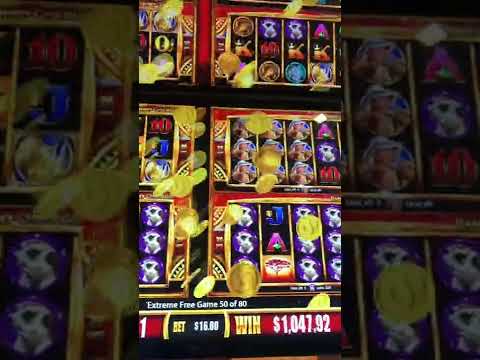 Still one of my favorite slots RHINO CHARGE Wonder 4 Boost jackpot handpay #shorts 80 FREE GAMES