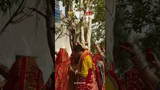 वत सावित्री पूजा #puja #sawit #shorts #trending #shortvideo #trendingshorts #song #love #video