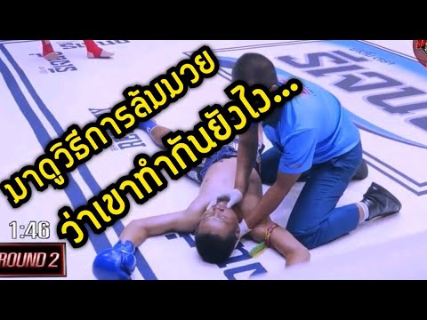 มาดูวิธีการล้มมวย ว่าเขาทำกันยังไง