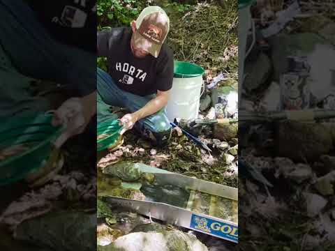 Sluice Life  https://youtu.be/U6tb8POtB9E?si=hI3V5XACn1HXFWiQ    #sluice #diy #goldfever #goldrush