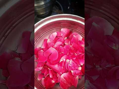 RoseMilk with FreshFlowers|#rosemilk|#freshflowers|#SparklewithShorts|#fillthetummy|#viral|#feed