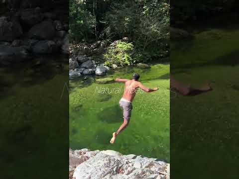 Crazy Village Boys Jumping Into River #riverjump #villagevibes #naturelovers #shorts