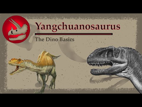 Yangchuanosaurus | The Asian Allosaurus | Dino Basics