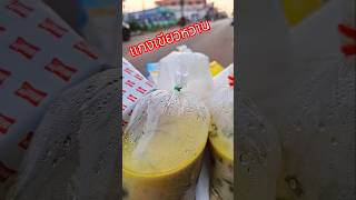 #แกงเขียวหวาน #แกงเขียวหวานหมู #เมนูง่าย #พุงกาง #เมนูอยู่บ้าน  #food #gardening #เมนูทำกินเอง