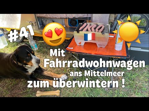 ‼️AFR. SCHWEINEPEST 🐗😱‼️an Rheinstränden‼️#41 Radreise Outdoor Frankreich Bikelife Bicycle Camper