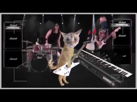 Catvid-19 performs Toto's Africa