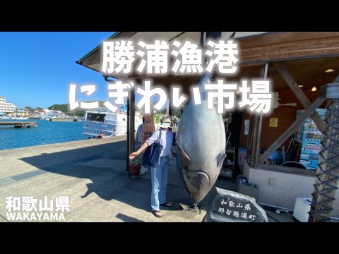 【和歌山県観光】勝浦漁港にぎわい市場はマグロが有名で店が並び解体ショーも楽しめる！[Wakayama Tourism] Katsuura Fishing Port Lively Market