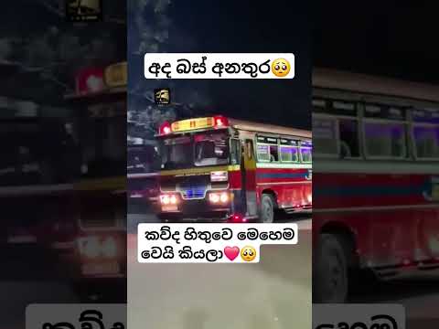 අද අනතුර❤️🥺#viralvideo #popular #new #automobile #vahicles #srilanka #news #fypage #bus #dhamrejini