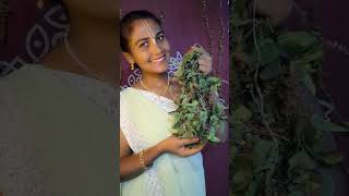 Day 6/30 challenge Daily routine of krishna devotee #radhakrishna #bhakti #india #trending #hindu
