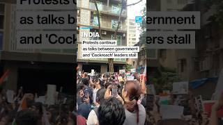 Protests grow as Cockroach Janta Party says talks with government stall • FRANCE 24 English