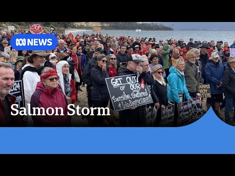 Anti-salmon protests held at site of first dead fish wash up in Tasmania | ABC  News