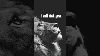 My time is bad so i am silent i want whatsappstatus#shortstatus