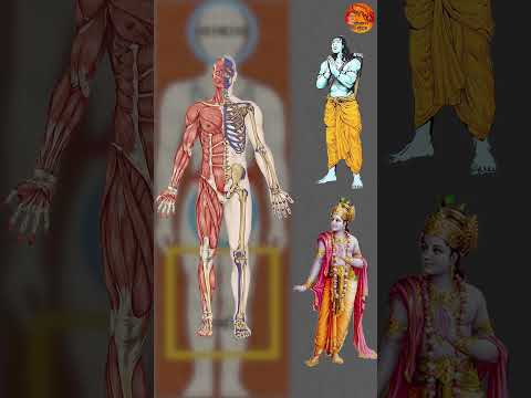 श्रीराम और श्रीकृष्ण भगवान नहीं है #shorts #facts #ram #krishna #bhajan #radha #science #religion