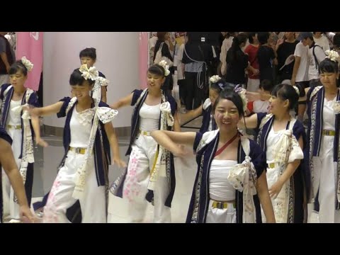 キュートな女の子たちのおどり