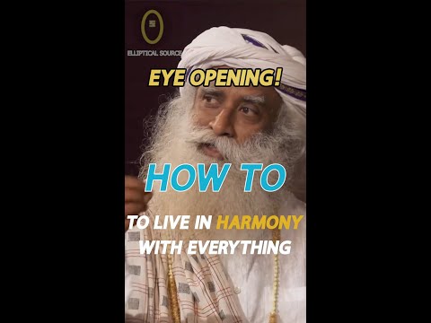 How to Live Harmoniously With Everything Around You and Spread Joy
