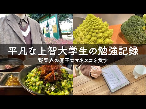 study vlog | 大学生の勉強風景 | 12月の目標 | 不思議な野菜を料理する