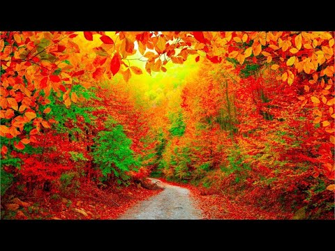 Beautiful Relaxing Hymns, Peaceful piano Music, "October Autumn Colors" in 4k by Tim Janis