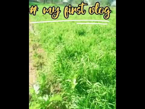 my first vlog on YouTube my first vlog Narendra blog today my first blog