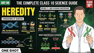 Heredity and Evolution Class 10 One Shot | Mendel, DNA & Sex Determination