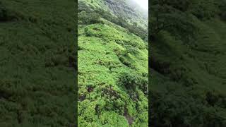#raigad #fortsofshivajimaharaj #trendingshorts #youtubeshorts #maharashtra #history #chhatrapati