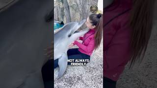 5 Dolphin Facts That Will Blow Your Mind!