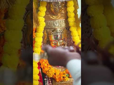 आरती के समय ब्रम्हा रूपी माता काशमीरी के चरणौ में माता के पुजारी धर्म चंद और पुजारीगण