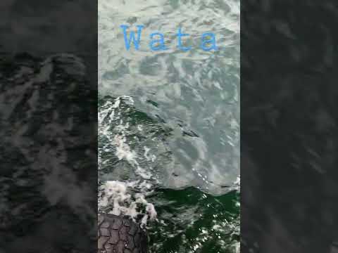 The wotor  #water #shorts