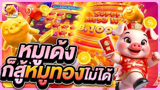 สล็อต | สล็อตpg Lucky Piggy เป็นเกมที่ดีที่สุดในปี 2025! | สล็อตเว็บตรง