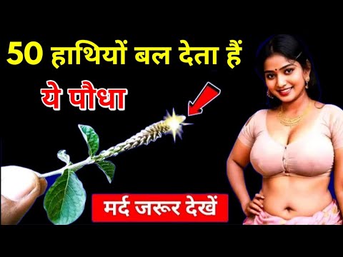 बहुत ही लाभदायक पौधा हैं ये आपके लिए अमृत से कम नहीं | Plant Benefit | Vastu sashtra | Vastu