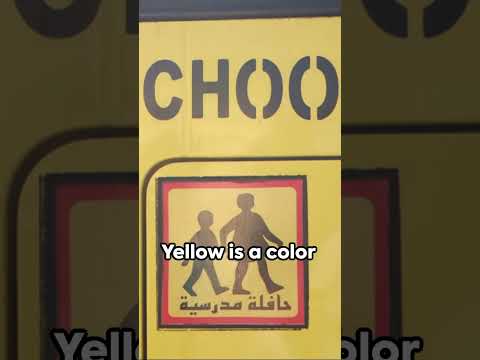 The Great Yellow Bus Mystery: Why Are Most Buses Yellow?