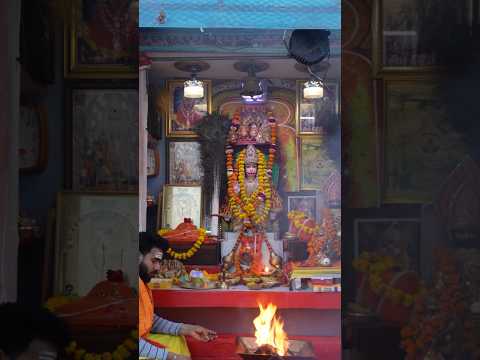 #1 हनुमान जी अमावस्या हवन || Icchapurti balaji #hanuman #hawan #darshan #shorts