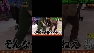 吉岡里帆によるオッパッピー #shorts #吉岡里帆 #菊池風磨 #長谷川忍 #何かオモ