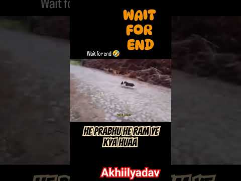 #comedyvideo #viral #comedy #comedyfilms #funnyvideo #funnyvideo #shortsvideo #ameging_facts #funny