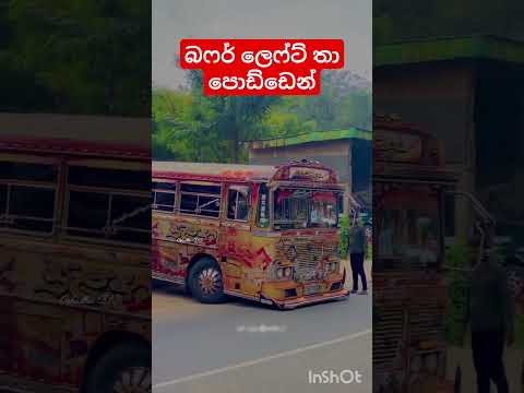 තා පොඩ්ඩෙන් බෆර් එක ලෙෆ්ට්.