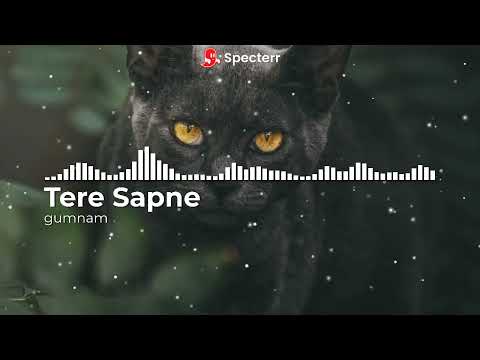 Tere Sapne by Gumnam