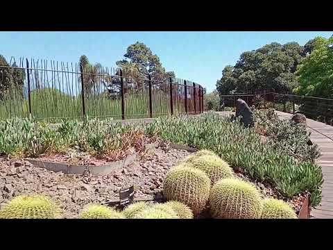 墨尔本皇家植物园 我们一起去游览 奈热植物区