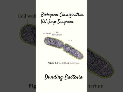 BIOLOGICAL CLASSIFICATION- Important Diagram for Neet 2025#doctor #biology #neet #education #shorts