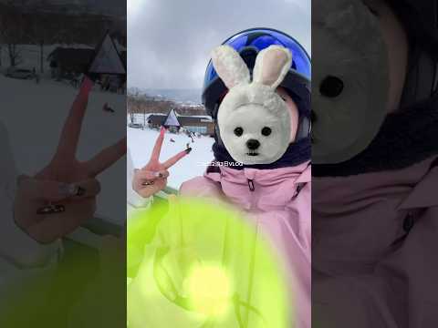 久しぶりの運動楽しかった🥹 #vlog #医療学生 #大学生の1日 #一人暮らし #ニセコ #niseko #スキー #スノボ #브이로그