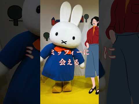 [Latest Huis Ten Bosch] Miffy Wonder Square was a picture book world #Huis Ten Bosch #Miffy #huis...