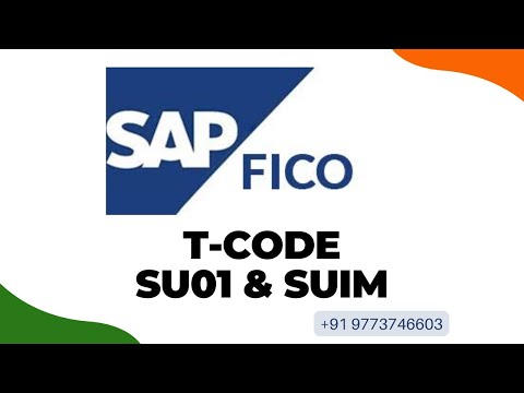 T Code SU01 & SUIM usages II SAP T Code Usages II SAP FICO