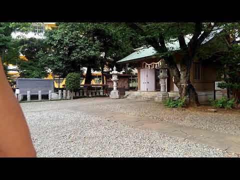 スサノオ神社にて御神木刀を振る、