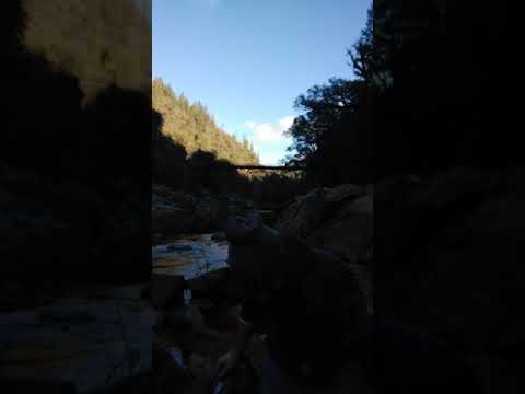 Searching for gold in the Yuba River