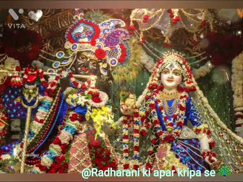 Mohe to baroso hai tiharo hi Kishori Radhe #radheradhe #Radharani #Vrindavan #iskcon #hare krishna